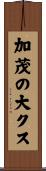 加茂の大クス Scroll