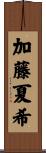 加藤夏希 Scroll