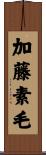 加藤素毛 Scroll