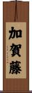 加賀藤 Scroll