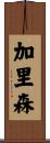 Garrison Scroll