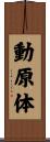 動原体 Scroll