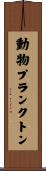 動物プランクトン Scroll
