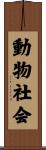 動物社会 Scroll