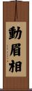 動眉相 Scroll