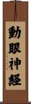 動眼神経 Scroll