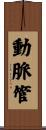 動脈管 Scroll