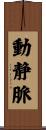 動静脈 Scroll
