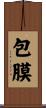包膜 Scroll