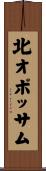 北オポッサム Scroll