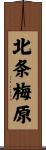 北条梅原 Scroll