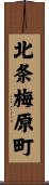 北条梅原町 Scroll