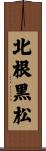 北根黒松 Scroll