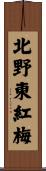 北野東紅梅 Scroll