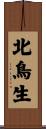 北鳥生 Scroll