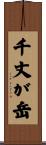 千丈が岳 Scroll