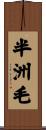 半洲毛 Scroll