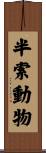 半索動物 Scroll