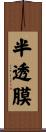 半透膜 Scroll