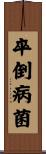 卒倒病菌 Scroll