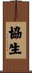 協生 Scroll