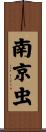 南京虫 Scroll