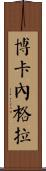 Bocanegra Scroll