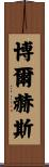 Borges Scroll
