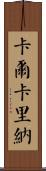 Calcarina Scroll