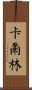Karlyn Scroll