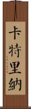 Caterina Scroll