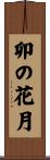 卯の花月 Scroll