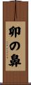 卯の鼻 Scroll