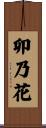 卯乃花 Scroll