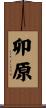 卯原 Scroll
