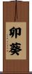 卯葵 Scroll