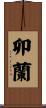 卯蘭 Scroll