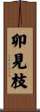 卯見枝 Scroll