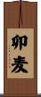卯麦 Scroll