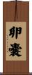 卵嚢 Scroll