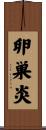 卵巣炎 Scroll