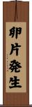 卵片発生 Scroll