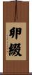 卵綴 Scroll