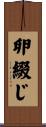 卵綴じ Scroll