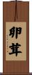 卵茸 Scroll