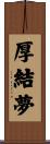 厚結夢 Scroll