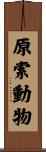 原索動物 Scroll