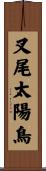 叉尾太陽鳥 Scroll
