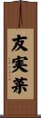友実菜 Scroll