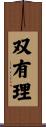 双有理 Scroll